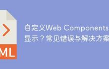 自定义Web Components无法显示？常见错误与解决方案