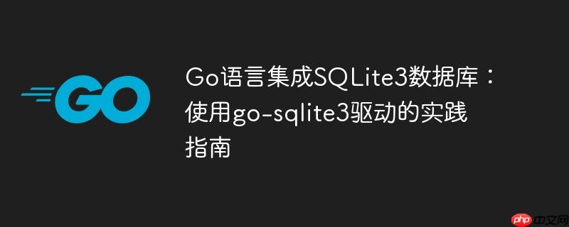 Go语言集成SQLite3数据库:使用go-sqlite3驱动的实践指南