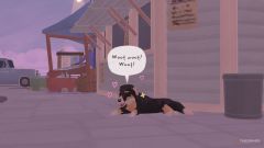 Tiny Bookshop: Feed The Stray Quest Walkthrough