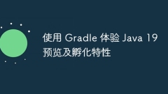 Pengalaman Java 19 Ciri Pratonton dan Inkubasi dengan Gradle
