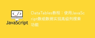 DataTables tutorial: Use JavaScript array data to implement advanced column search function