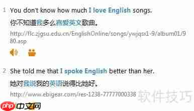 必应词典高效使用技巧