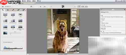 Picasa使用入门指南