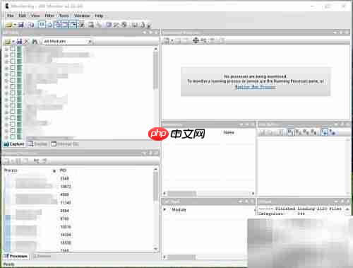 API Monitor使用指南