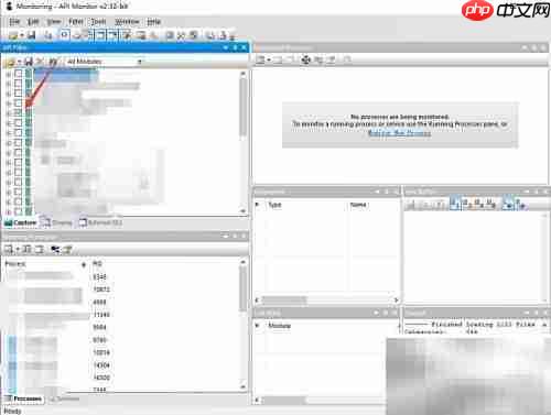 API Monitor使用指南