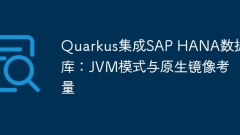 Quarkus Integration SAP HANA Database: JVM Mode and Native Mirroring Considerations