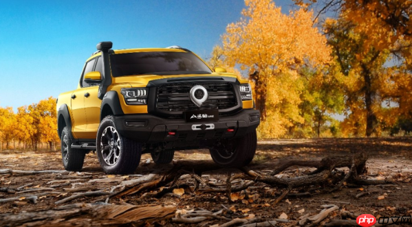 2025年7月国内皮卡市场销售4.1万辆 同比增长达2%