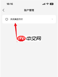美团月付是什么