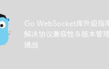 Go WebSocket库升级指南:解决协议兼容性与版本管理挑战
