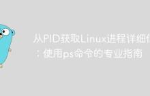 从PID获取Linux进程详细信息:使用ps命令的专业指南