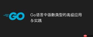 Go语言中函数类型的高级应用与实践