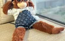 大麦票务如何用花呗购买