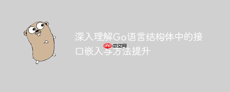 深入理解Go语言结构体中的接口嵌入与方法提升
