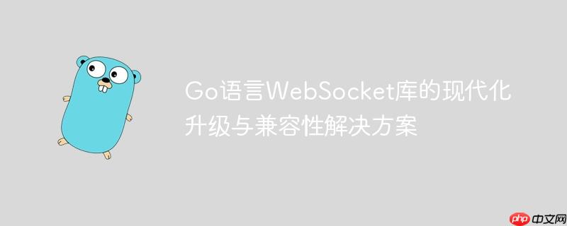 Go语言WebSocket库的现代化升级与兼容性解决方案
