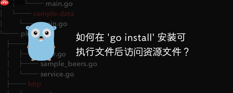 如何在 'go install' 安装可执行文件后访问资源文件？