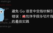 避免 Go 语言中空指针解引用错误：结构体字段与切片指针的最佳实践