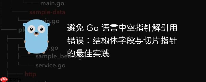 避免 Go 语言中空指针解引用错误：结构体字段与切片指针的最佳实践-小浪学习网