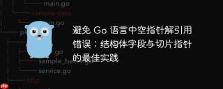 避免 go 语言中空指针解引用错误:结构体字段与切片指针的最佳实践