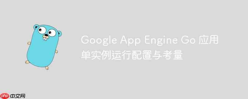google app engine go 应用单实例运行配置与考量