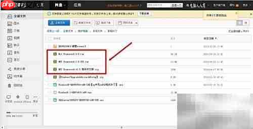 NET Framework 软件解析