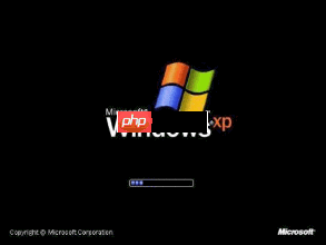 NET Framework 软件解析