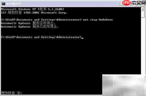 NET Framework 软件解析
