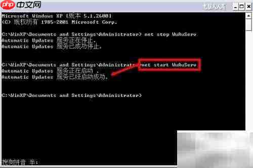 NET Framework 软件解析
