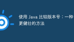 Compare version numbers using Java: A more robust way