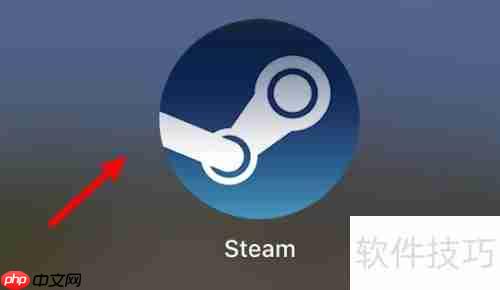 Steam库界面如何显示大图标