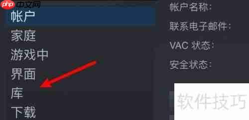 Steam库界面如何显示大图标