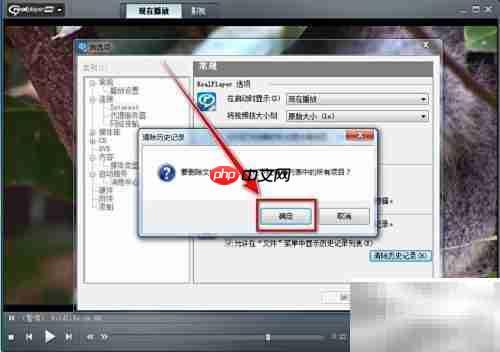 RealPlayer清除播放记录方法