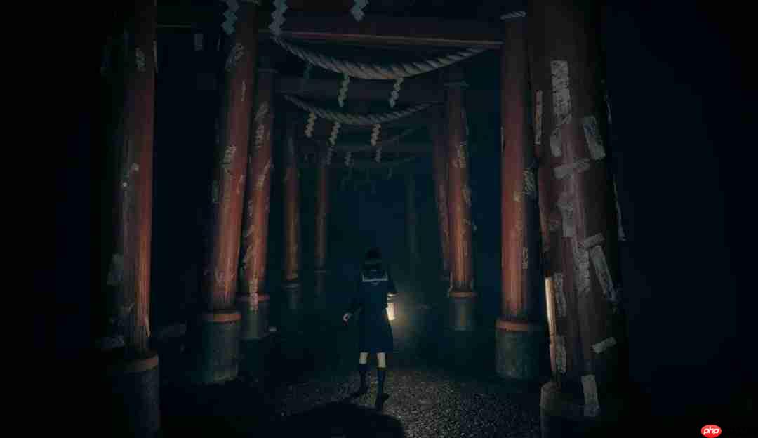 《寂静岭f》实体宣传地图 蜿蜒道路展恐怖氛围