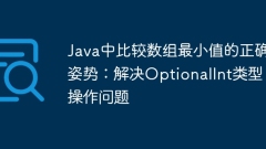 Postur yang betul untuk membandingkan nilai minimum array di Java: Selesaikan masalah operasi jenis pilihan