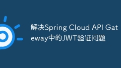 Selesaikan isu pengesahan JWT di gerbang API API Spring
