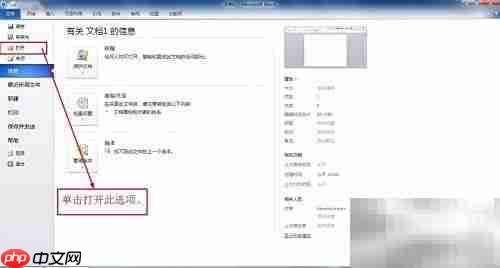 Office 2010 基础操作指南