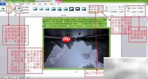 Office 2010 基础操作指南