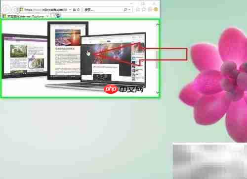 ie浏览器图片下载方法
