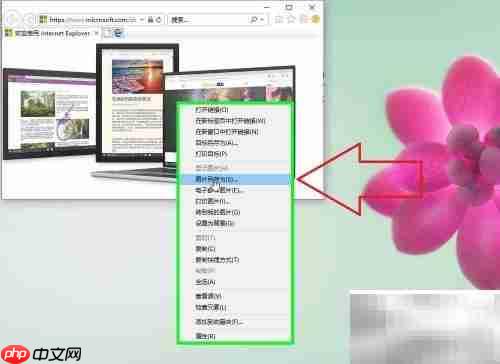 IE浏览器图片下载方法