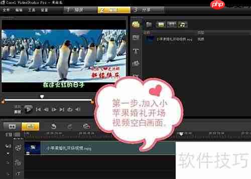 小苹果婚礼开场精彩瞬间