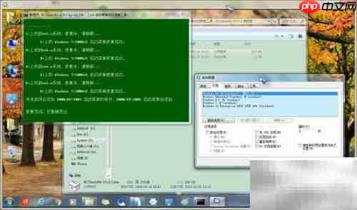 BCDautofix V1.0.3 引导修复