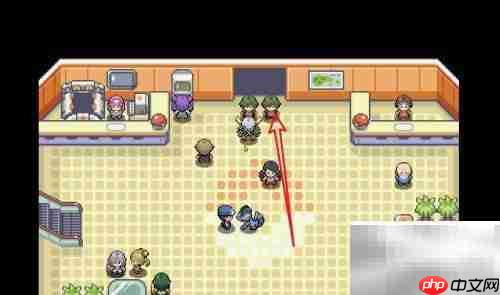 如何查看Pokemmo天王队伍