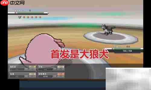 如何查看Pokemmo天王队伍