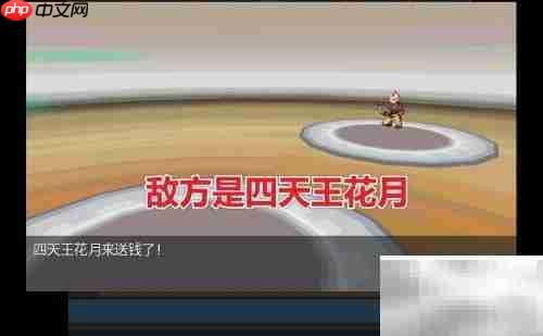 如何查看Pokemmo天王队伍