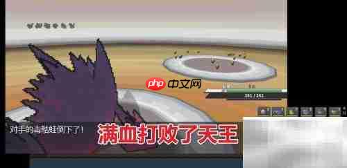 如何查看Pokemmo天王队伍