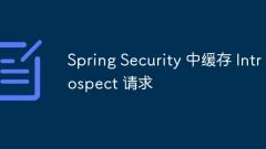 Cache Introspect requests in Spring Security