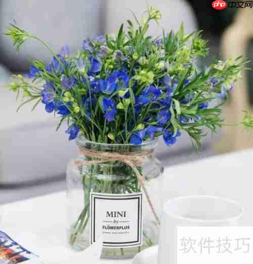 小飞燕花养护技巧