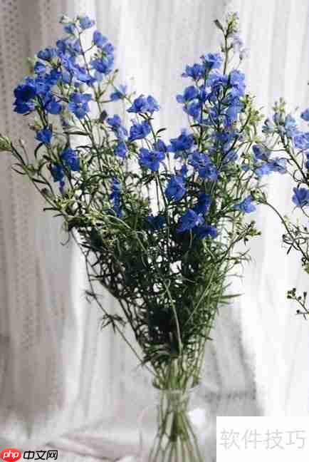 小飞燕花养护技巧