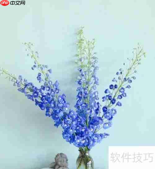 小飞燕花养护技巧