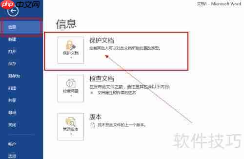 Office 2013加密技巧全解析