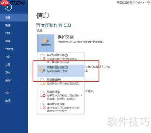 Office 2013加密技巧全解析